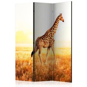Rumsavdelare - giraffe - walk - 135x172