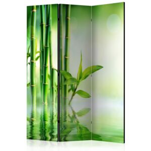 Rumsavdelare - Green Bamboo - 135x172