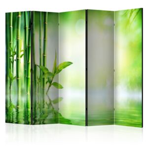 Rumsavdelare - Green Bamboo II - 225x172