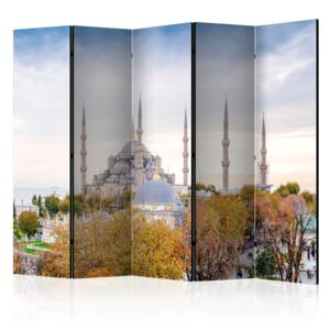 Rumsavdelare - Hagia Sophia - Istanbul II - 225x172