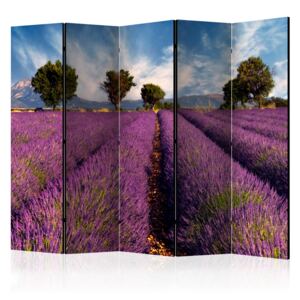 Rumsavdelare - Lavender field in Provence, France II - 225x172