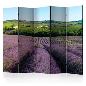 Rumsavdelare - Lavender fields II - 225x172