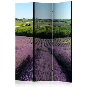 Rumsavdelare - Lavender fields - 135x172