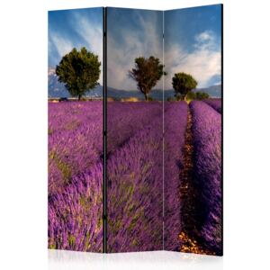 Rumsavdelare - Lavender field in Provence, France - 135x172