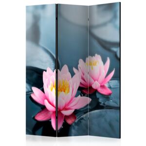 Rumsavdelare - Lotus blossoms - 135x172