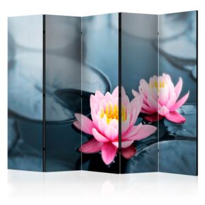 Rumsavdelare - Lotus blossoms II - 225x172