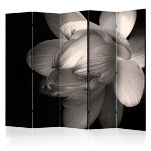 Rumsavdelare - Lotus flower II - 225x172