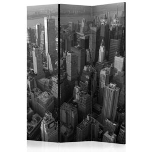 Rumsavdelare - New York: skyscrapers (bird's eye view) - 135x172