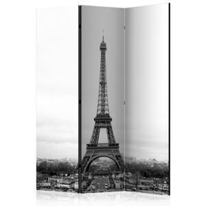 Rumsavdelare - Paris: black and white photography - 135x172