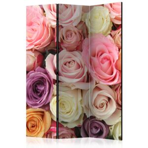 Rumsavdelare - Pastel roses - 135x172