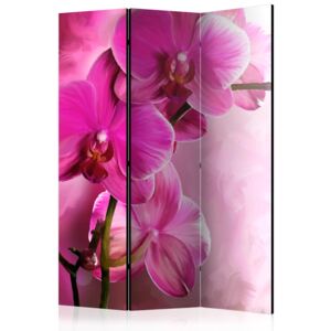 Rumsavdelare - Pink Orchid - 135x172