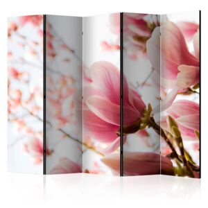 Rumsavdelare - Pink magnolia II - 225x172
