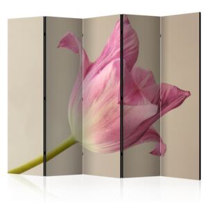 Rumsavdelare - Pink tulip II - 225x172