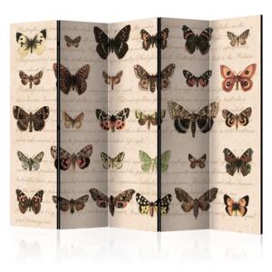 Rumsavdelare - Retro Style: Butterflies II - 225x172