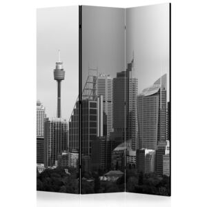 Rumsavdelare - Skyscrapers in Sydney - 135x172