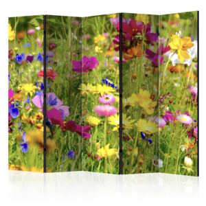 Rumsavdelare - Summer Flowers II - 225x172