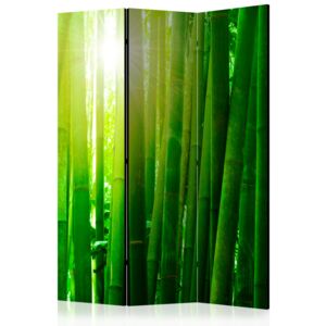 Rumsavdelare - Sun and bamboo - 135x172