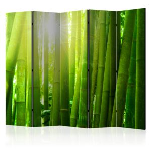 Rumsavdelare - Sun and bamboo II - 225x172