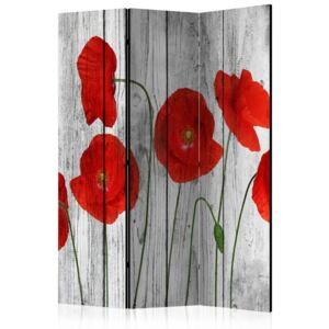Rumsavdelare - Tale of Red Poppies - 135x172