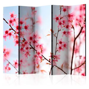 Rumsavdelare - Symbol of Japan - sakura flowers II - 225x172
