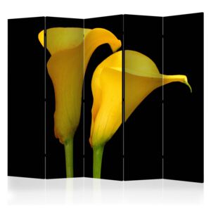 Rumsavdelare - Two yellow calla flowers on a black background II - 225x172