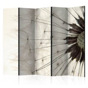 Rumsavdelare - White Dandelion II - 225x172