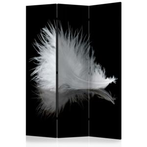 Rumsavdelare - White feather - 135x172