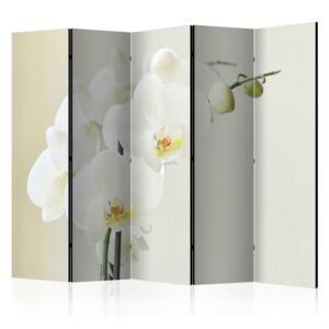 Rumsavdelare - White orchid II - 225x172