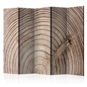 Rumsavdelare - Wood grain II - 225x172