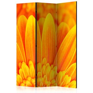 Rumsavdelare - Yellow gerbera daisies - 135x172