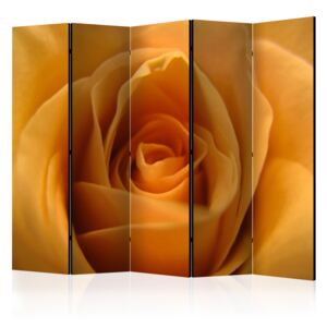Rumsavdelare - Yellow rose – a symbol of friendship II - 225x172