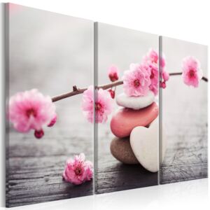 Tavla - Zen: Cherry Blossoms II - 90x60