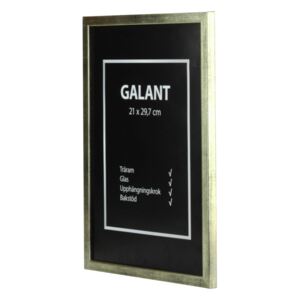 Ram Galant