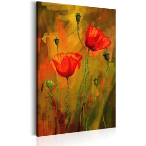 Canvas Tavla - The Awakening of Poppy - 40x60