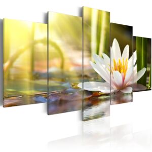 Canvas Tavla - Sunny Lotus - 100x50