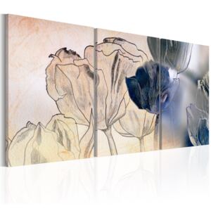 Canvas Tavla - Sketch of Tulips - 60x30