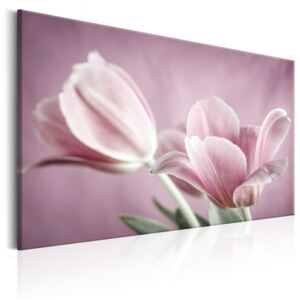 Canvas Tavla - Romantic Tulips - 60x40