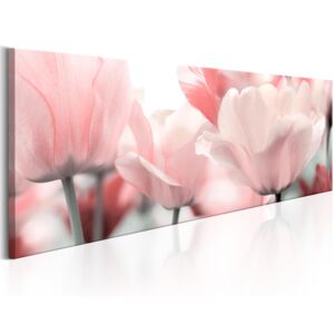 Canvas Tavla - Pink Tulips - 120x40