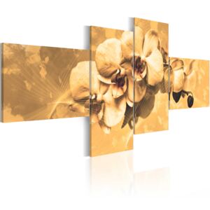 Canvas Tavla - Orkidéer i sepia - 200x90