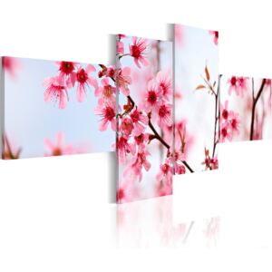 Canvas Tavla - Beauty of the cherry flowers - 100x45