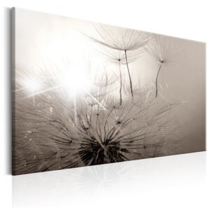 Canvas Tavla - Beautiful Summer: Dandelions - 90x60