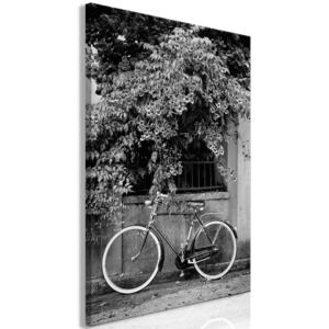 Canvas Tavla - Bicycle and Flowers (1 del) Vertical - 40x60