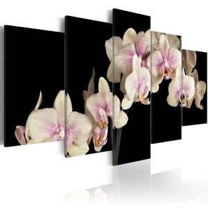 Canvas Tavla - An orchid on a contrasting background - 100x50