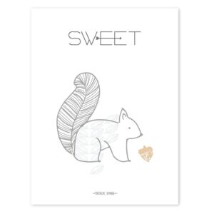 SQUIRREL SWEET poster - 30x40 cm
