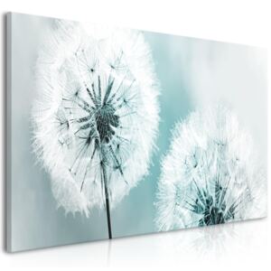 Canvas Tavla - Fluffy Dandelions (1 del) Blue Wide - 100x45