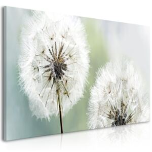Canvas Tavla - Fluffy Dandelions (1 del) Green Wide - 100x45