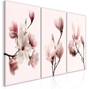 Canvas Tavla - Spring Magnolias (3 delar) - 120x60