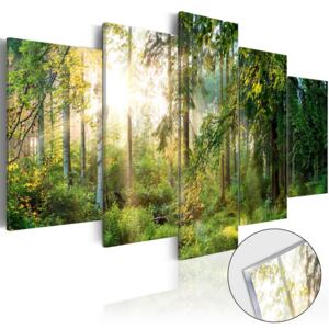 Tavla i akrylglas - Green Sanctuary - 100x50