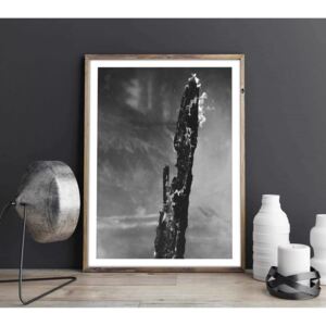 Forest fire - Monochrome poster - 30x40 1