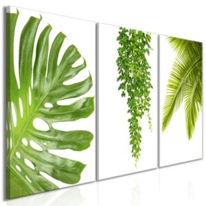 DecorDecor Tavla - Beautiful Palm Trees (3 Parts)